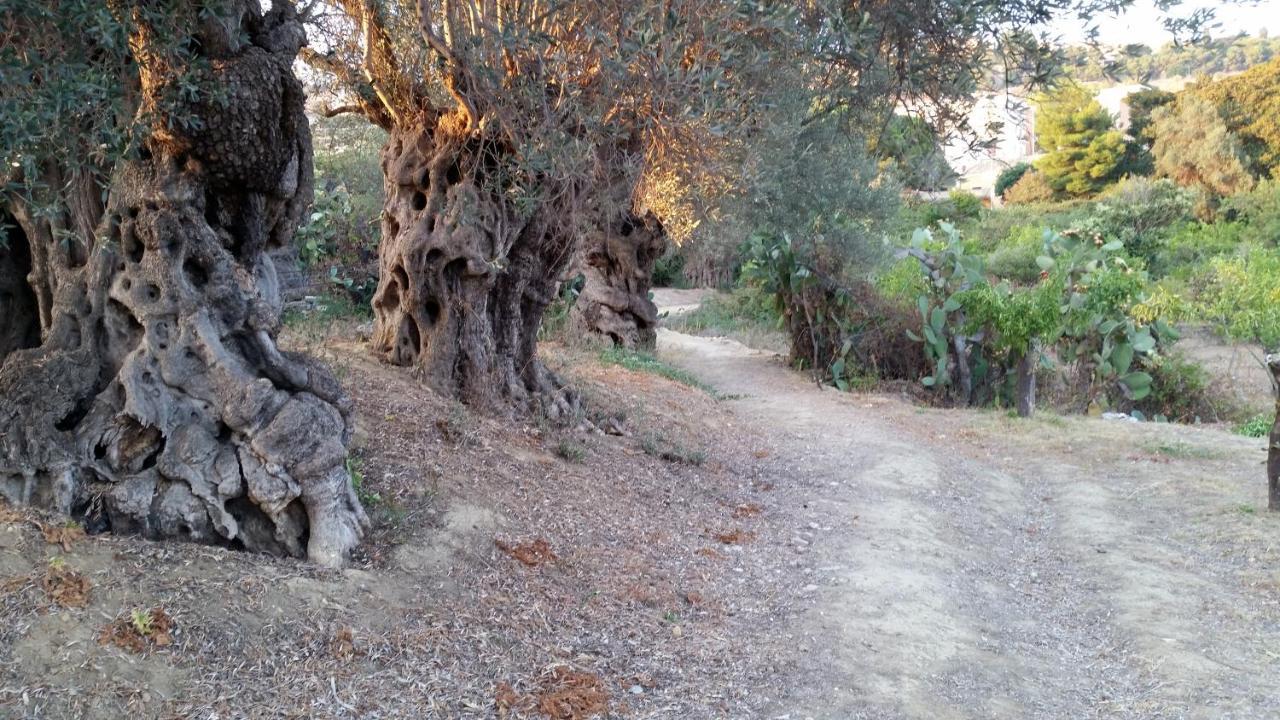 La Villa Di Minerva Agrigento Zewnętrze zdjęcie