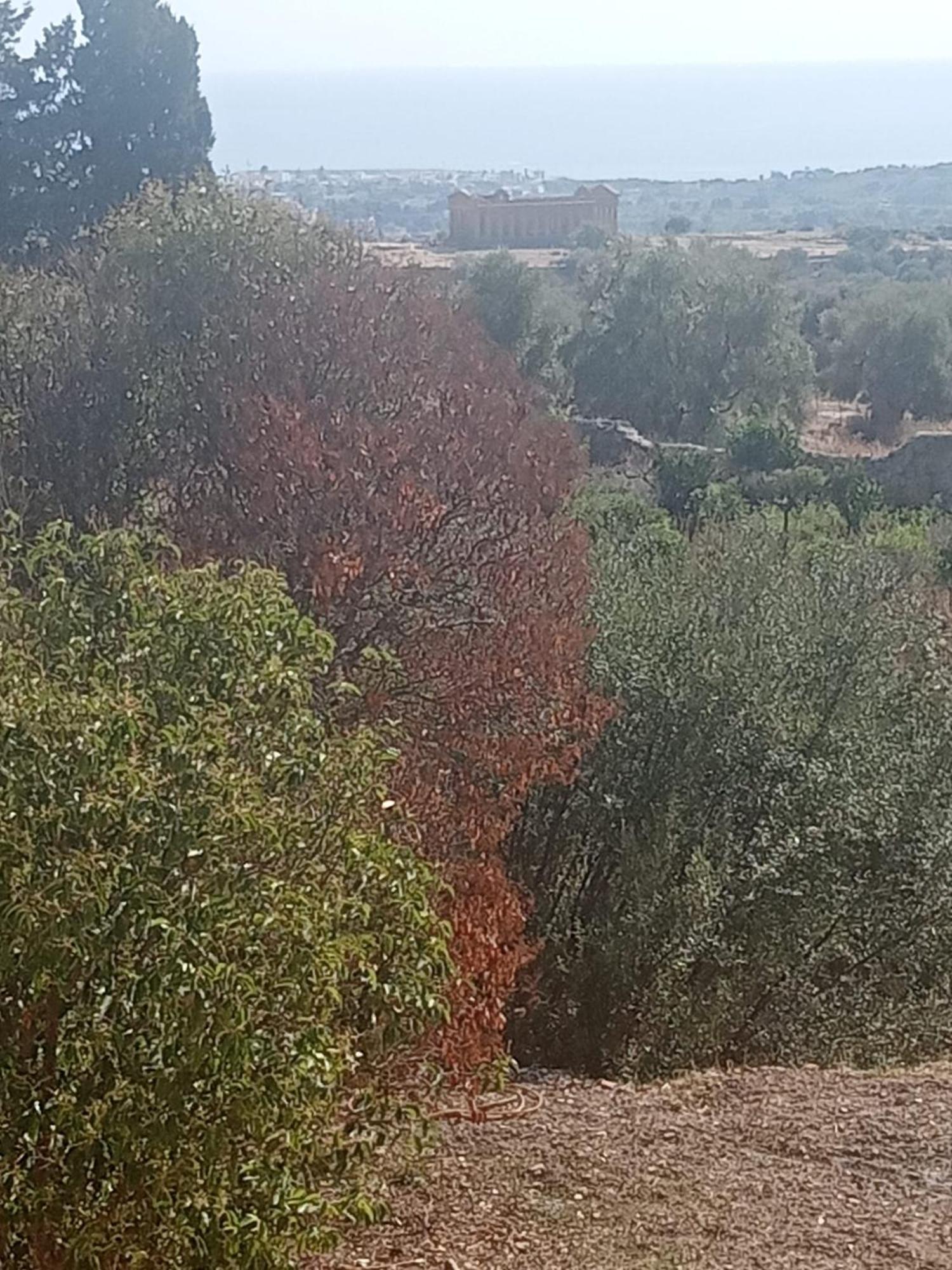 La Villa Di Minerva Agrigento Zewnętrze zdjęcie