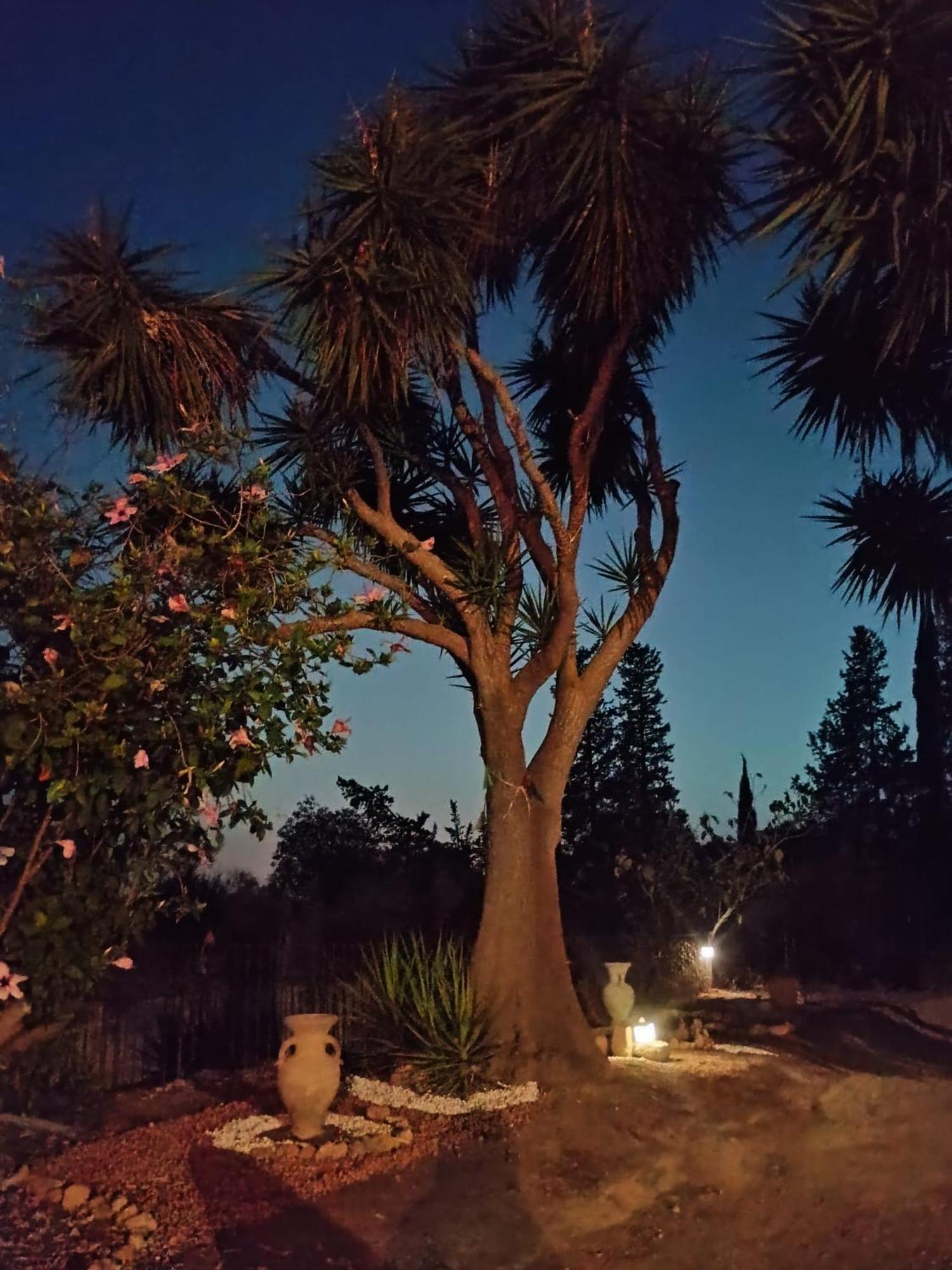 La Villa Di Minerva Agrigento Zewnętrze zdjęcie